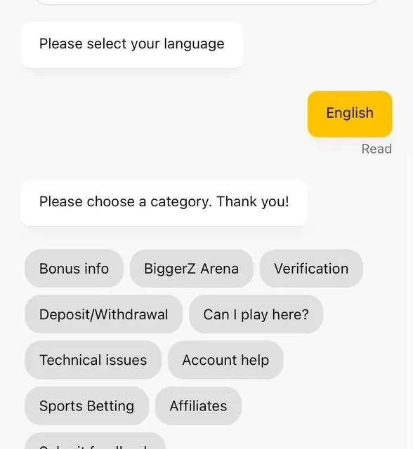 BiggerZ the rest of the support conversation — screenshot 1 of 5