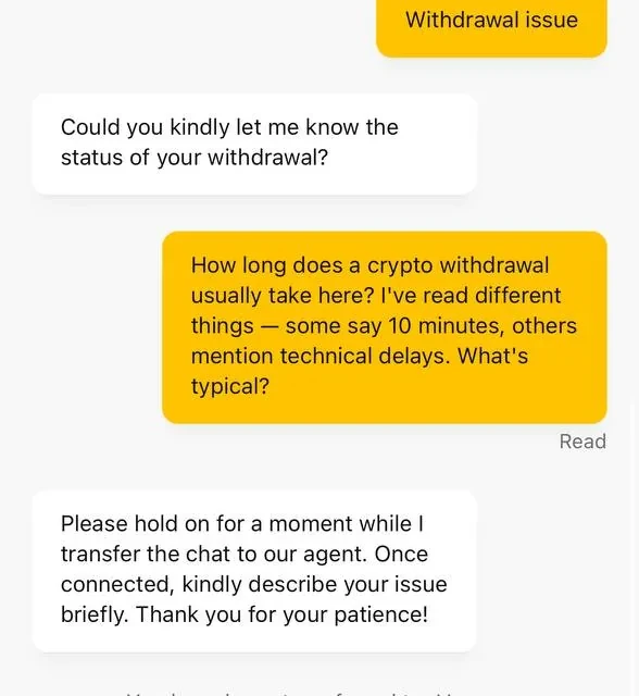 BiggerZ the rest of the support conversation — screenshot 2 of 5