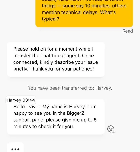 BiggerZ the rest of the support conversation — screenshot 3 of 5