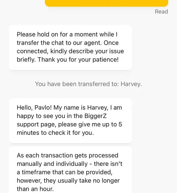 BiggerZ the rest of the support conversation — screenshot 4 of 5