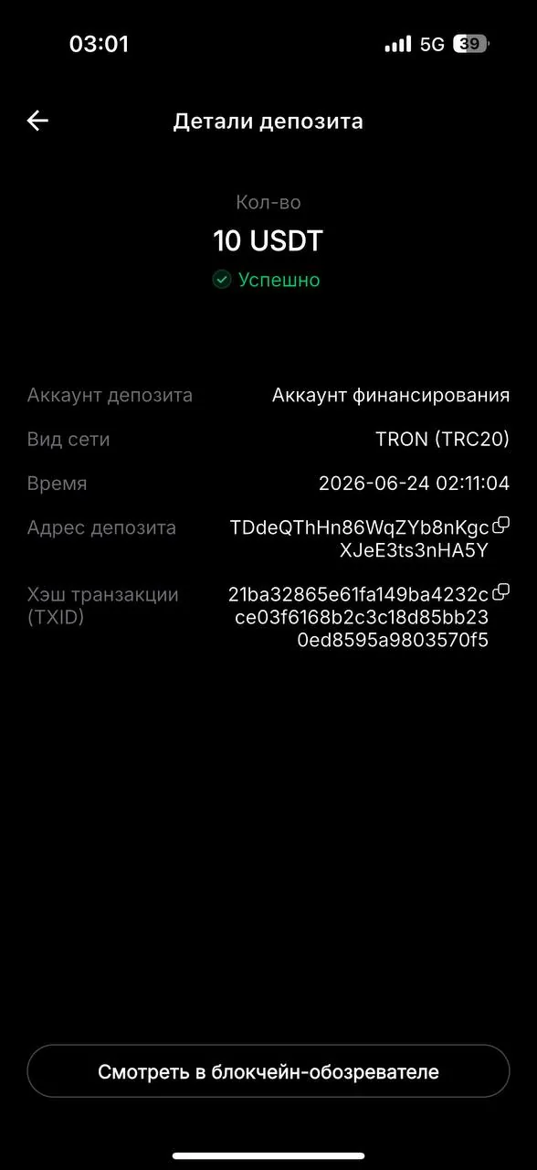 BiggerZ wallet arrival — on-chain transaction confirmed screenshot