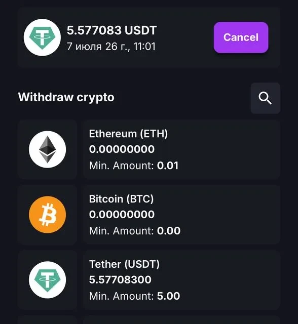CoinCasino withdrawal request, additional confirmation screens — screenshot 3 of 5