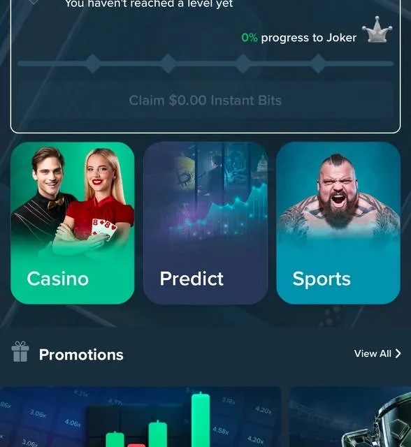 Duelbits registration, additional screens — screenshot 2 of 2