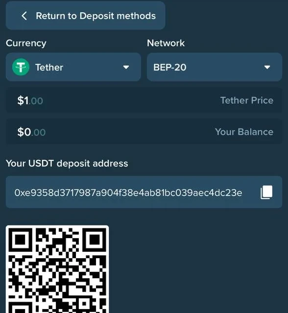 Duelbits deposit confirmation, full sequence — screenshot 2 of 4