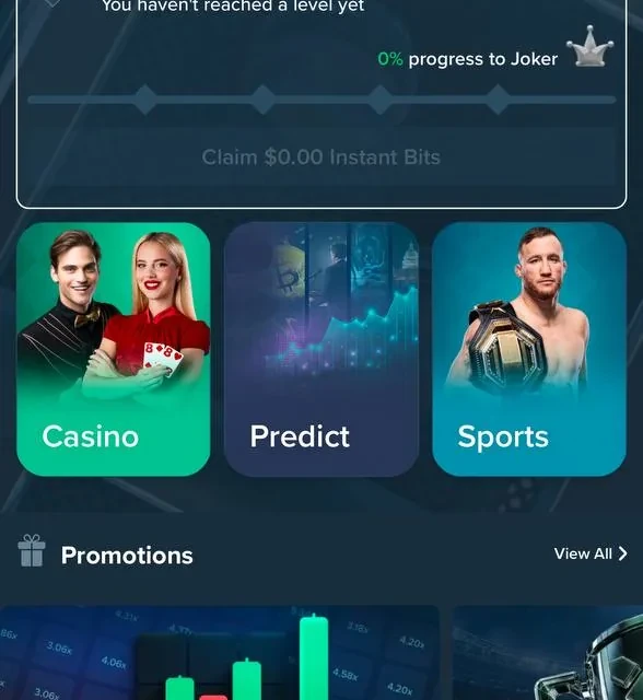 Duelbits deposit confirmation, full sequence — screenshot 4 of 4