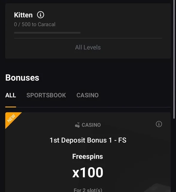 FortunePlay deposit confirmation and payment method screens — screenshot 5 of 5
