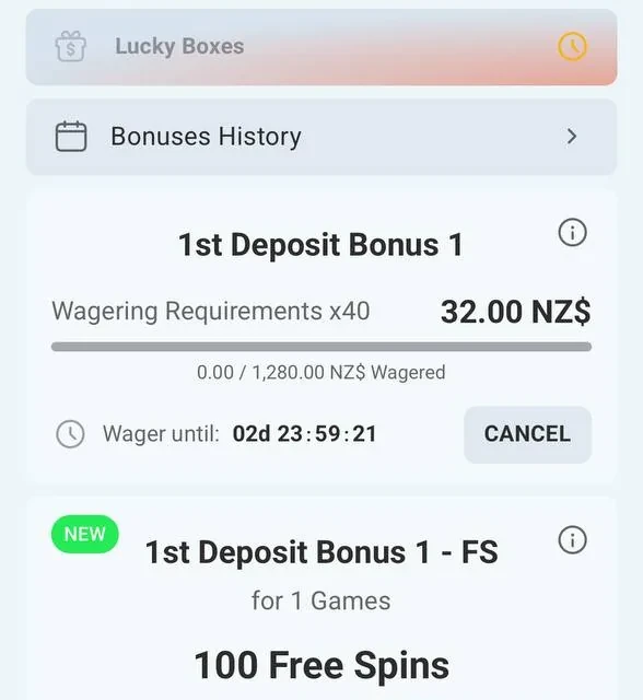 RocketSpin deposit flow, additional screens — screenshot 3 of 3