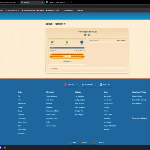 Vegasino all six support conversations logged during this test — screenshot 2 of 5