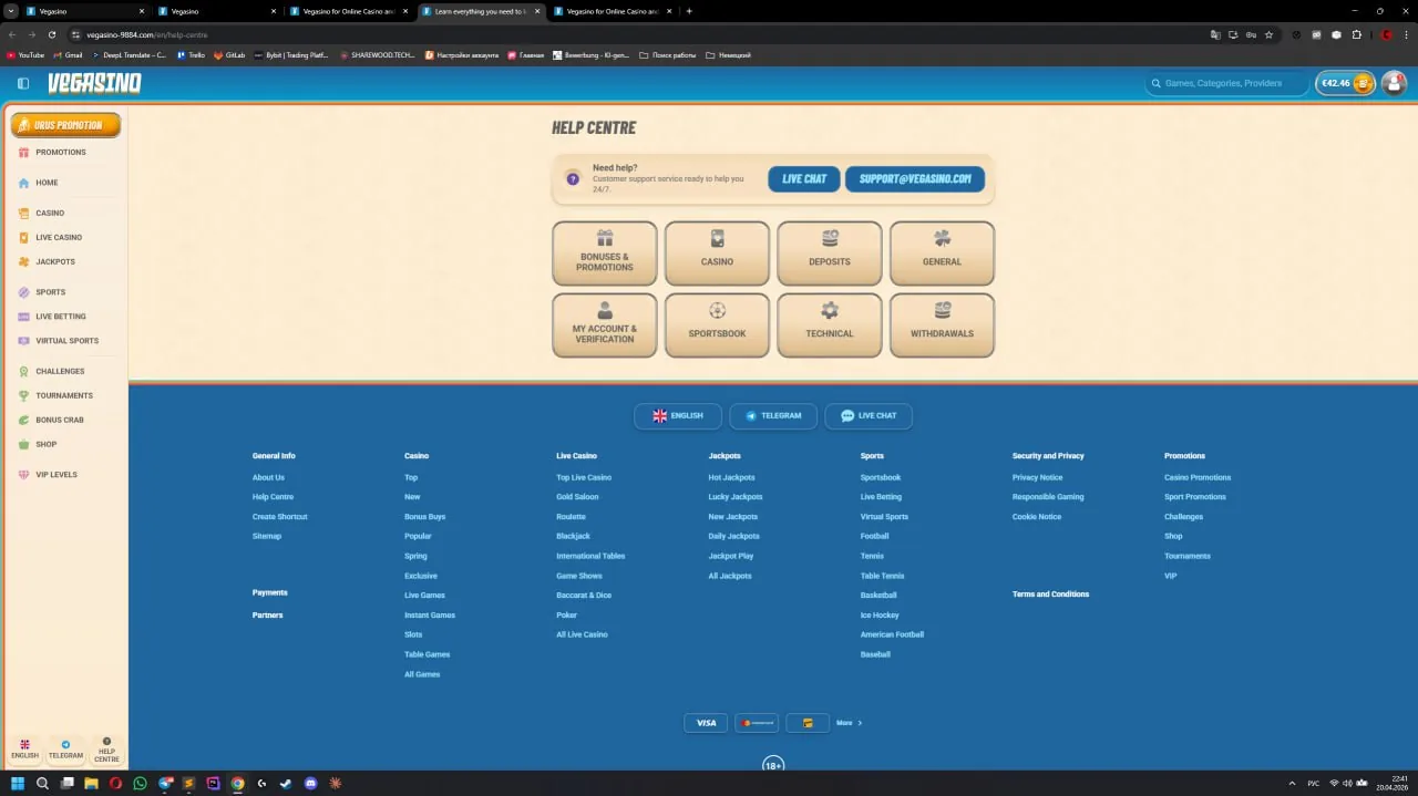 Vegasino support chat conversation screenshot
